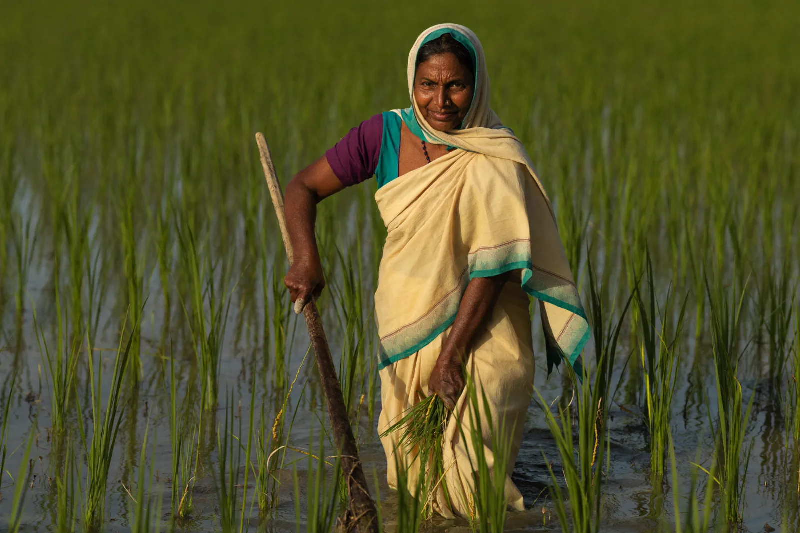 Agriculture
